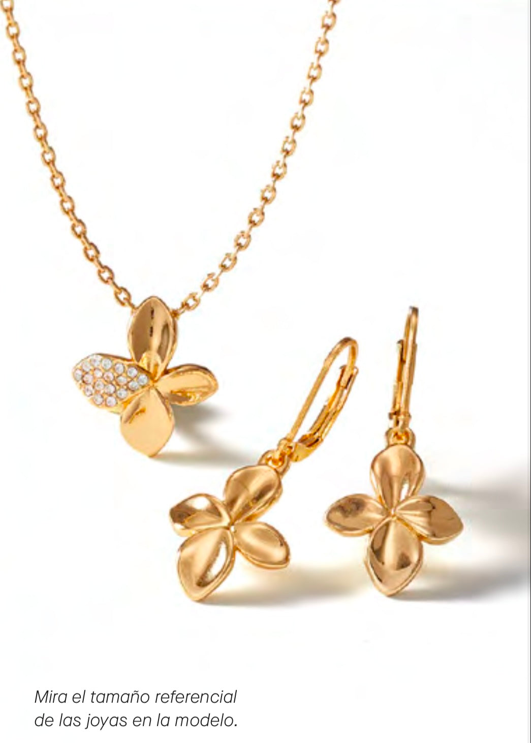 Colección Amarilis Dore