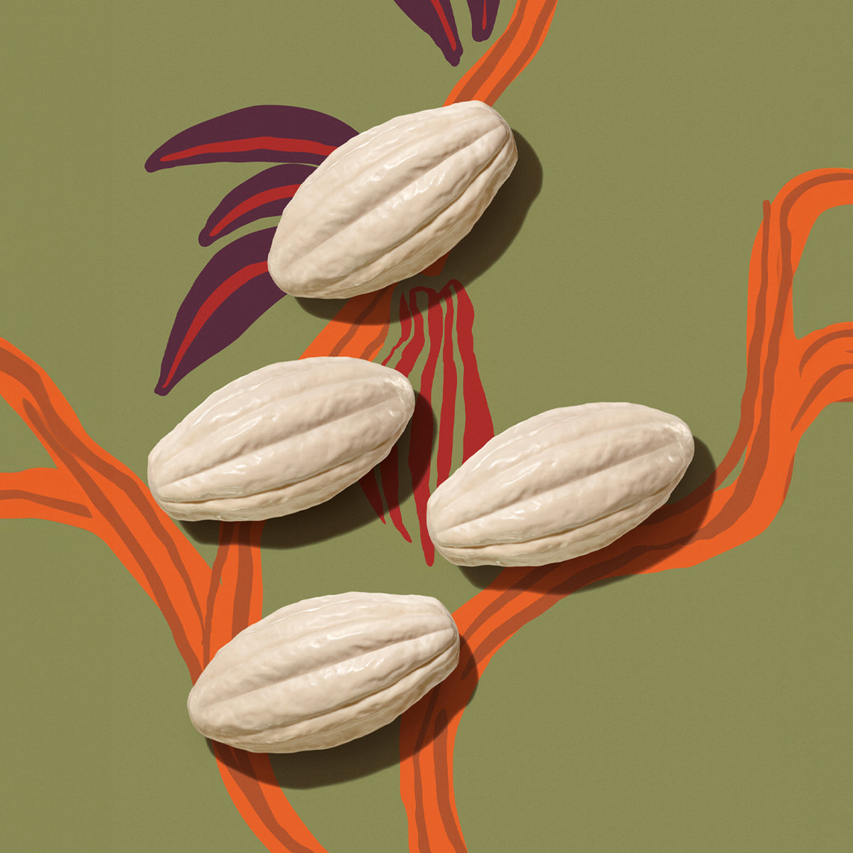Pack de jabones Ekos Cacao 100g c/u