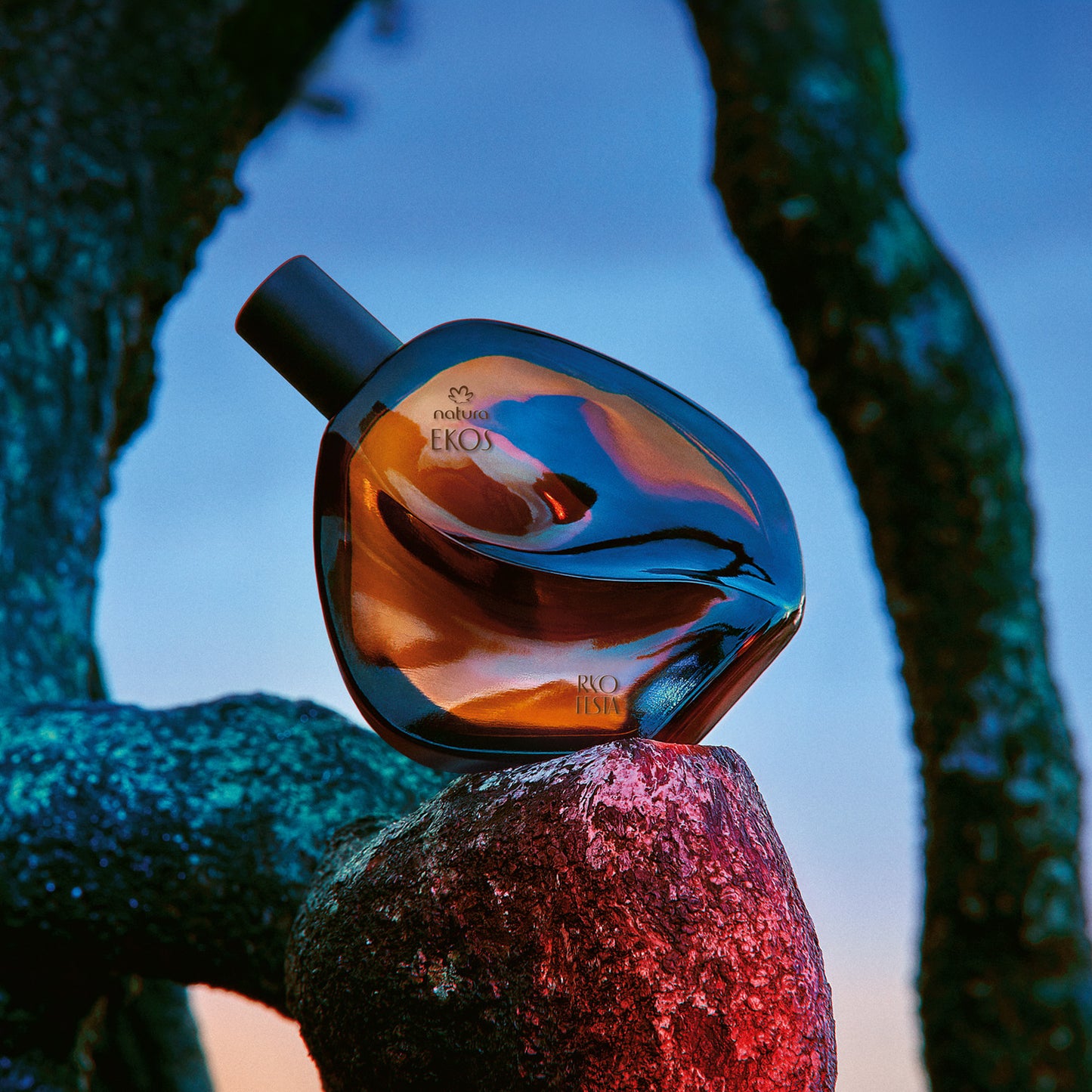 Ekos Ryos festa Eau de toilette75 ml