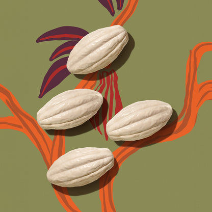 Pack de jabones Ekos Cacao 100g c/u