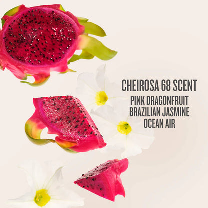 Set viajero x3 Sol de Janeiro Beija Flor